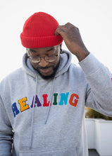Load image into Gallery viewer, &quot;Healing&quot; Multicolor Patch Hoodie
